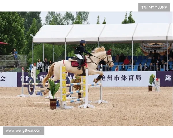 沧州引进体育赛事项目