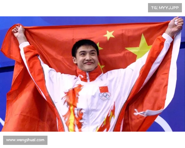 田亮赛事资料 田亮赛事资料简介