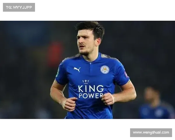 职业拳击主要赛事(职业拳击赛事 莱斯特.马丁内斯)