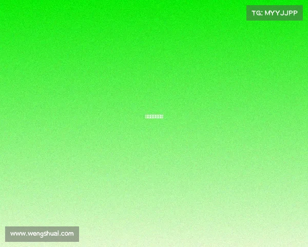 杨晓禹个人资料